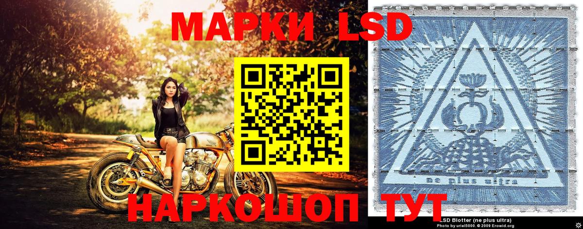 продажа наркотиков  Наркотические марки  Мурино  Вход с VPN  Наркотические марки 1500мкг 
