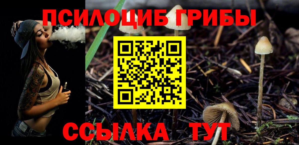 купить наркотики цена  Галлюциногенные грибы GOLDEN TEACHER  Вход с VPN  Мурино  Галлюциногенные грибы ЛСД 